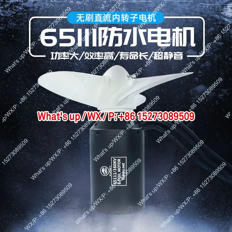 Motor DC tanpa sikat kelas IP6 - Electric Surfboard 3000W ulasan dan harga