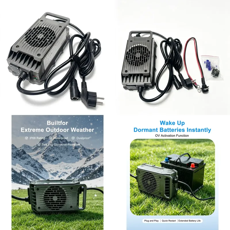 Pengisi Daya Papan Selancar Li - Electric Surfboard Battery Charger ulasan dan harga